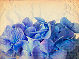 Grunge blue flowers