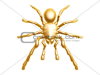 golden spider