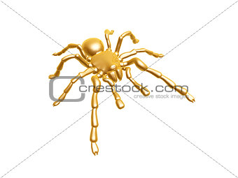 golden spider