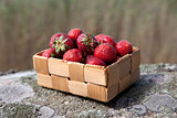  Strawberries in a small wooden basket 