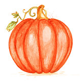 Watercolor orange pumpkin