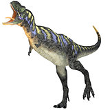 Aggressive Aucasaurus Dinosaur
