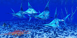 Blue Marlin Predators