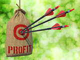 Profit - Arrows Hit in Red Mark Target.