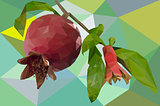 Pomegranate fruit in polygons
