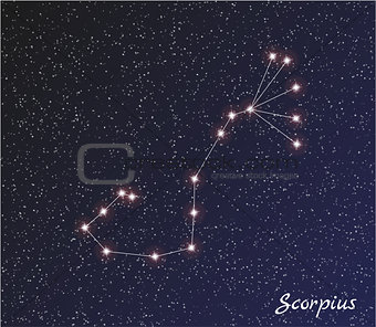 constellation scorpius