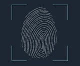 identification of fingerprint biometric