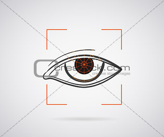 Eye identification