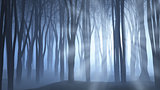 Spooky forest scene