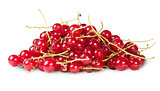 Bunch Of Red Currant