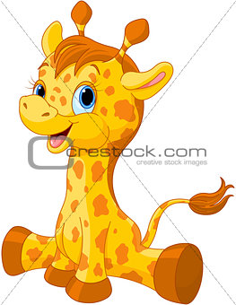 Cute giraffe calf 