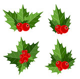 Christmas Berry Sign Vector Illustration