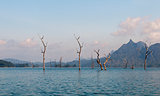 Cheow Lan Lake or Rajjaprabha Dam Reservoir, Thailand