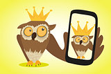 Crazy owl is doing selfie