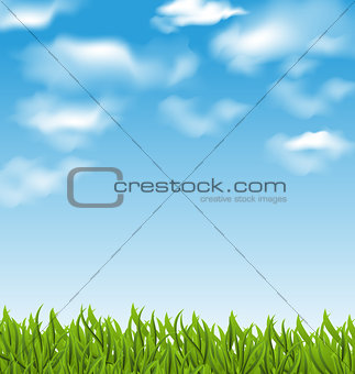 Summer background with green grass and sky