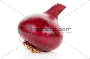 Onion isolated.
