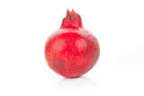 Pomegranate isolated.