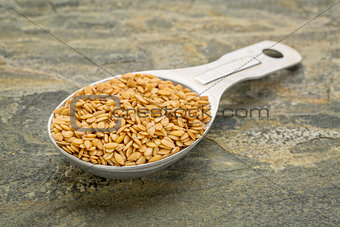 spoon of gold flax seeds