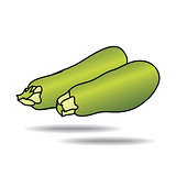Freehand drawing zucchini icon