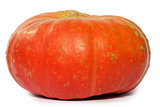 Isolated pumpkin