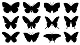 butterfly silhouettes