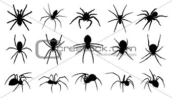 spider silhouettes