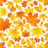 Seamless pattern of autumn leaves