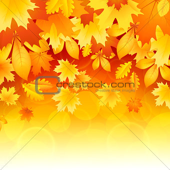 Background of leaves