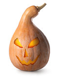 Pumpkin for Halloween