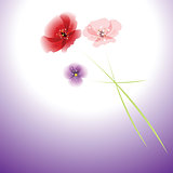 bouquet of flowers on colorful background.