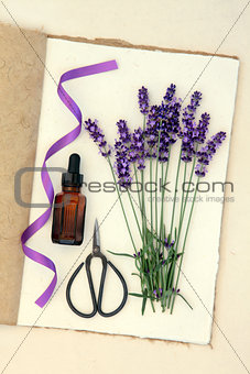 Lavender Flower Herb