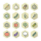 Thin Line Icons For Vegetables