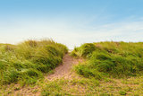 Sand path over dunes with beach grass