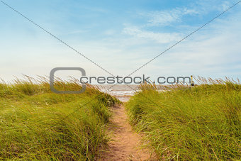 Sand path over dunes with beach grass