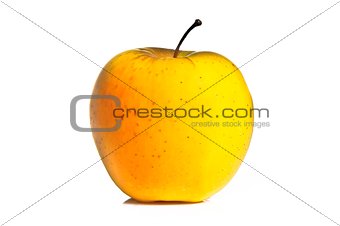 yellow apple isolated 