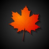 Red maple leaf. Autumn background