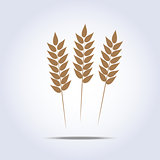 Wheat icon. Vector illustration