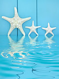 Starfish Abstract