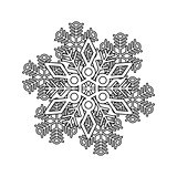 Vector snowflake