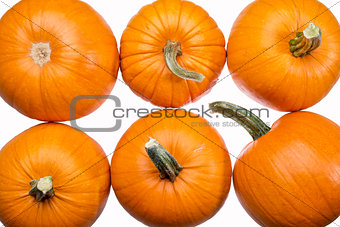 six pumpkins on white