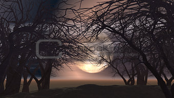 3D spooky landscape with trees