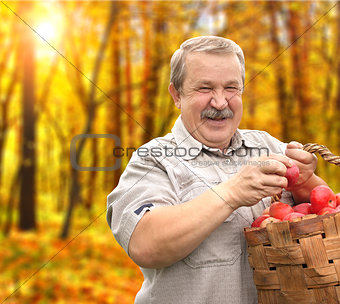 Harvesting an apples