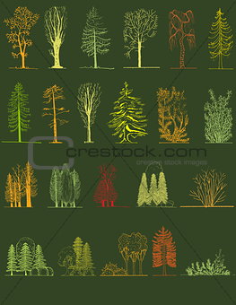 A set of tree silhouettes , for architectural or landscape design
