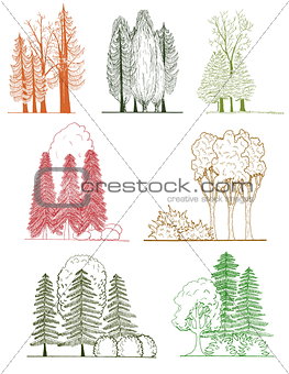 A set of tree silhouettes , for architectural or landscape design