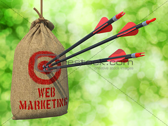 Web Marketing - Arrows Hit in Red Target.