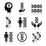 Human DNA, genetics vector icons set