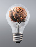a brain into a light bulb