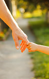 parent hold the hand of a small child 