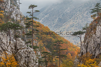 Tasnei Gorge, Romania