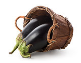 Eggplants in a basket